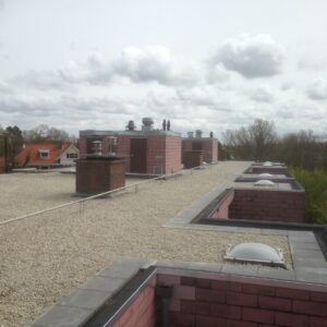 Santpoort logwood